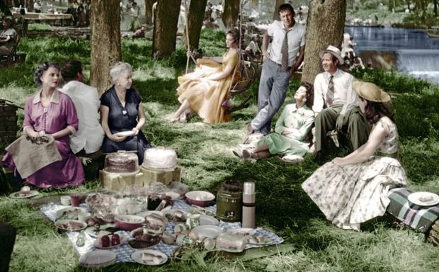 picnic movie cast